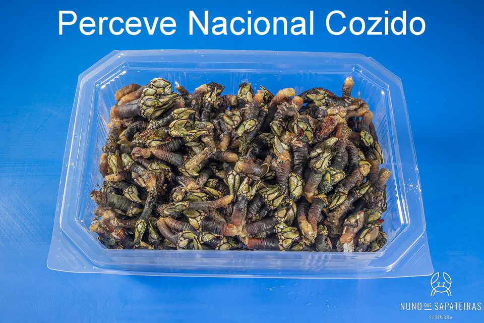 Perceve Nacional Cozido