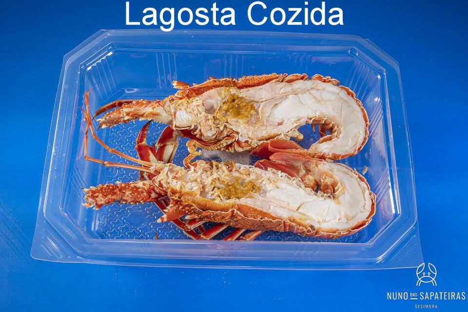 Lagosta Cozida